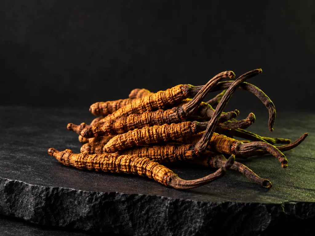 A pile of dried orange-brown Cordyceps sinensis mushrooms on dark slate